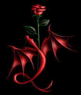 cette rose rouge est pour toi